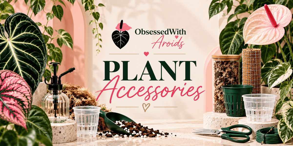 Plant Accessories - Obsessed With Aroids