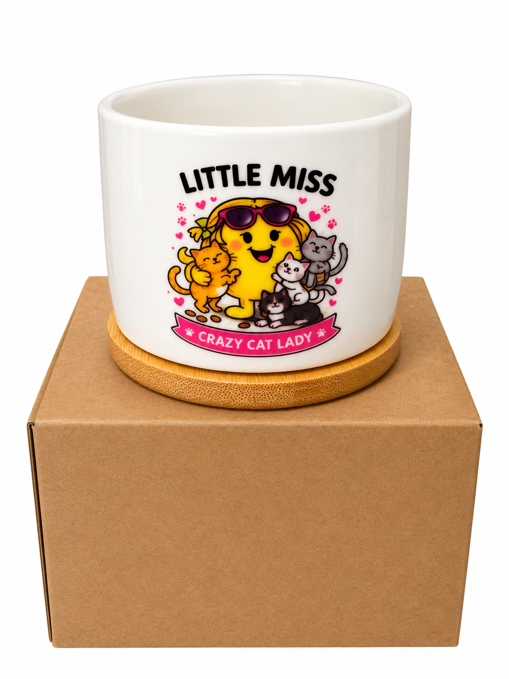 Little Miss Crazy Cat Lady Plant Pot