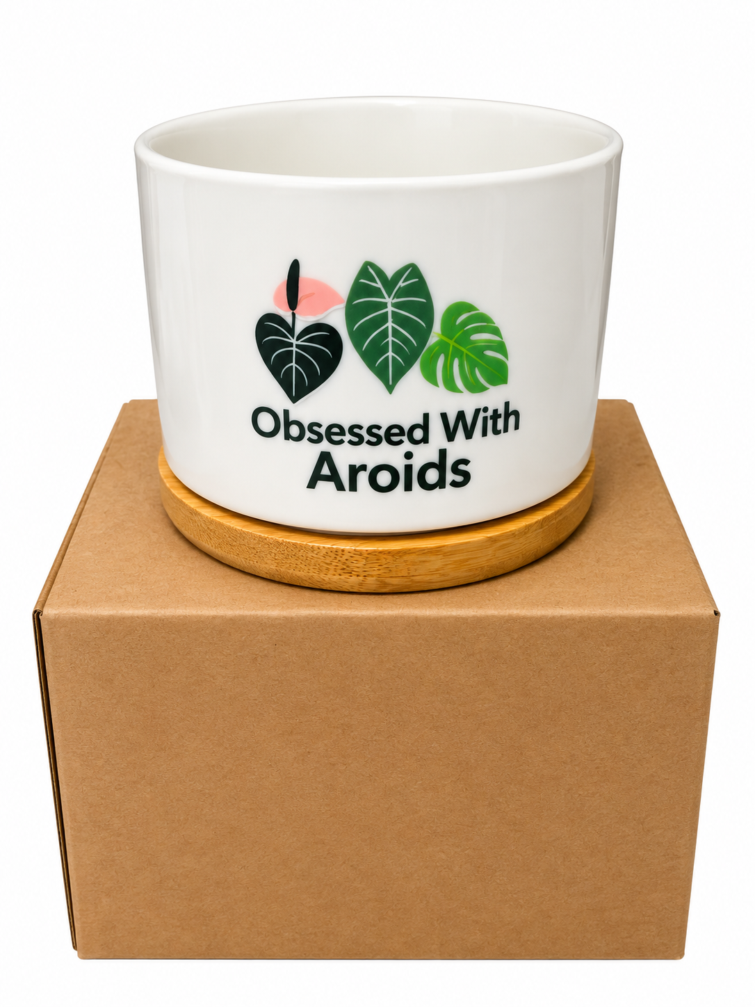 Obsessed With Aroids Plant Pot