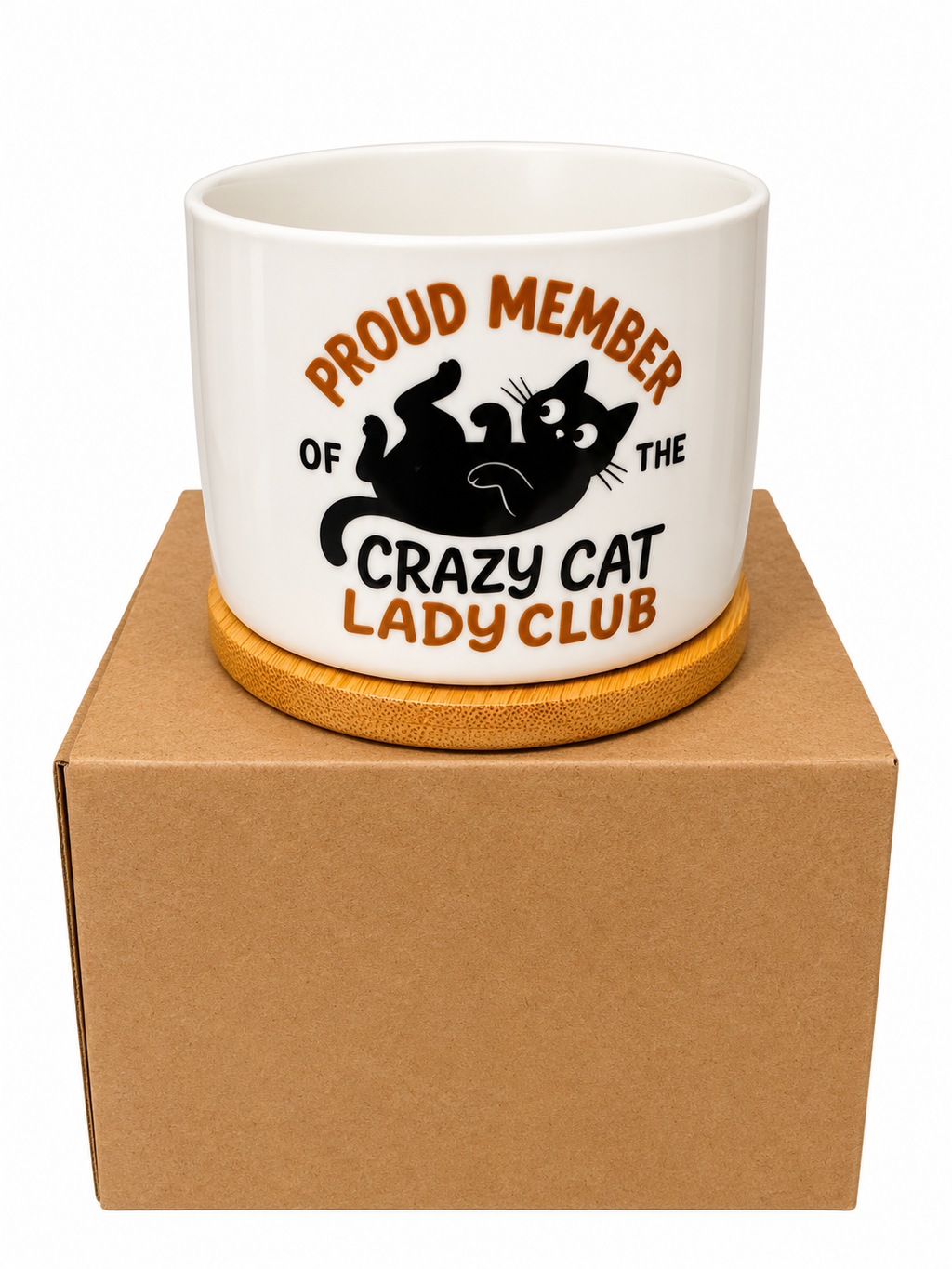 Crazy Cat Club Plant Pot
