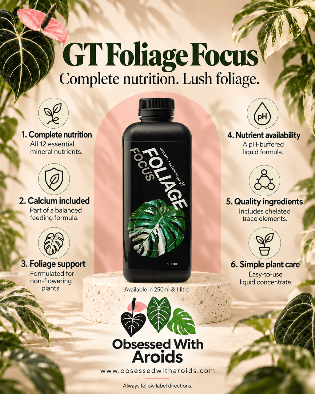 GT Foliage Focus 250MlL - Obsessed With Aroids